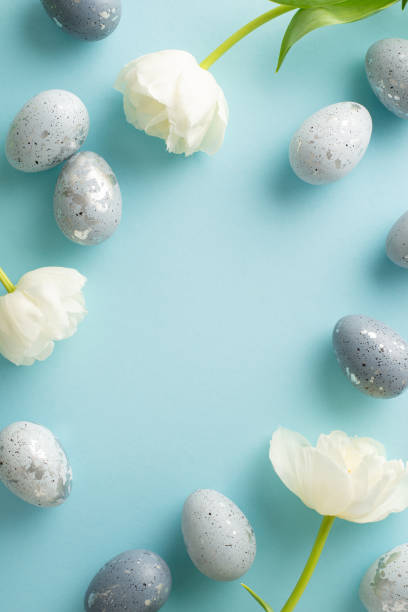 istock Springtime charm: Top view vertical shot of elegant ash-toned eggs, and fresh pristine tulips spread on a soft blue surface, leaving frame for text 2040341536