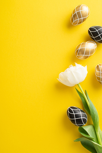 Chic Easter arrangement. Vertical top view featuring sophisticated black and gold eggs, dainty tulip, arrayed on a bright yellow canvas with space for messages or promotions