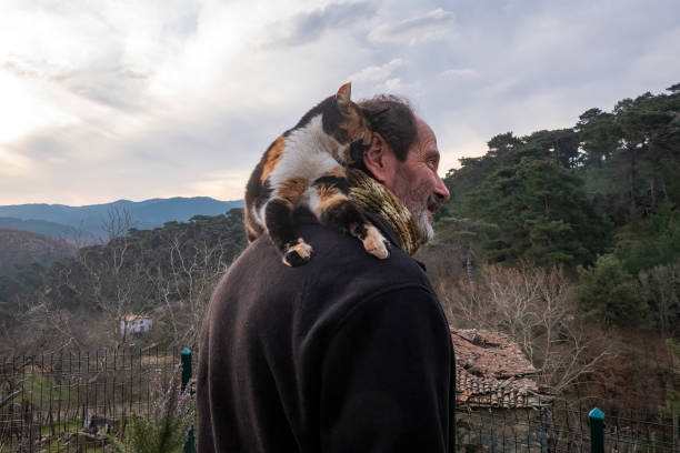 istock Man and cat love 2040345820