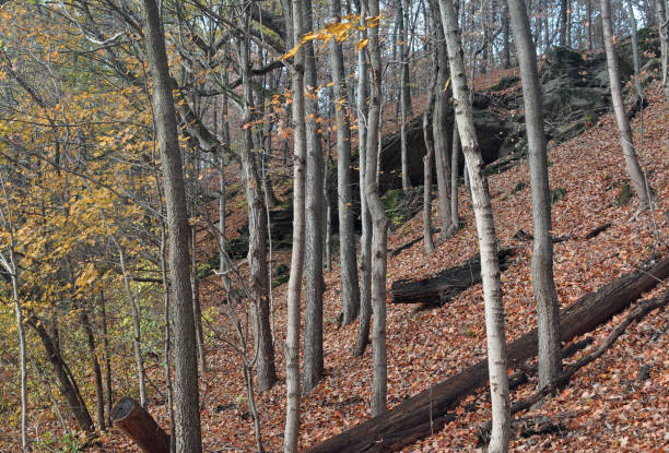 istock Prophet's Rock, Tippecanoe County, Indiana 2040359553