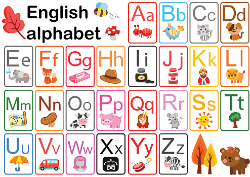 ABC Alphabet card English for children teaching and learn kids to count and calculate vector illustration set