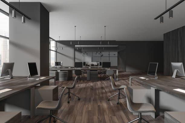 istock Grey business interior with coworking and meeting room, panoramic window 2040392585
