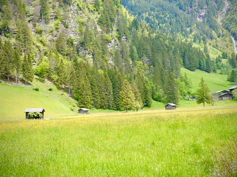 Discover the enchanting charm of these wooden cottages embraced by the majestic Austrian Alps. A tranquil retreat, where each cottage whispers tales of alpine serenity. Amidst nature's embrace, a cozy haven awaits, inviting you to unwind in the heart of scenic beauty and mountain magic.