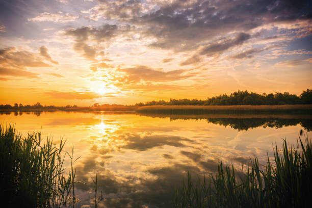 стокові фото, фото роялті-фрі та зображення на тему захід або схід сонця над ставком або озером навесні або на початку літа ввечері або вранці з хмарним небом і очеретяною травою. весняний кра - озеро