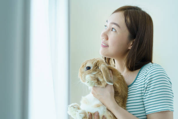 woman relaxing at home. - easter rabbit sofa women zdjęcia i obrazy z banku zdjęć