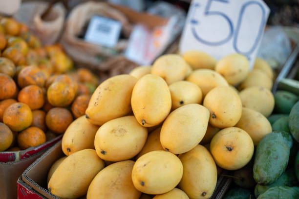 Group of ripe mangoes are selling at the fruits market. Freshness fruits object photo.