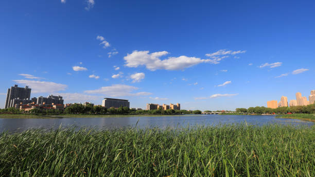 istock Waterfront city scenery, North China 2040455885