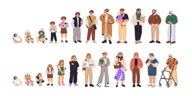 Vector illustration of Human life cycle set. Different people age. Lifespan of women, men from baby to old person. Phases of growth: newborn, kid, adolescent, young, adult, senior. Flat isolated vector illustration on white