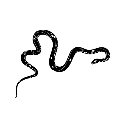 Black snake silhouette. Monochrome long viper. Venomous serpent with patterned scale, ornamented skin. Tropical cold blooded animal line art. Flat isolated vector illustration on white background.