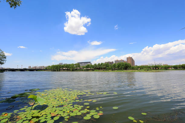 Waterfront City architectural scenery, North China