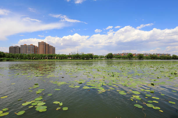 Waterfront City architectural scenery, North China