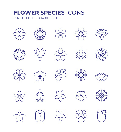 Flower Species Editable Line Icon Set contains such icons as Clover, Camellia, Hibiscus, Tulip, Rose, Snowflake Flower, Blossom,Water Lily and so on