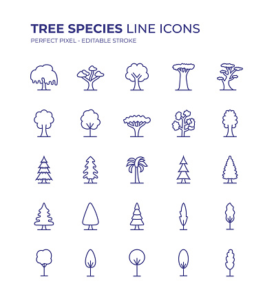 Tree Species Editable Line Icon Set contains such icons as Maple Tree, Acacia Tree, Willow Tree, Cedar Tree, Palm Tree, Pine Tree, Cypress Tree and so on