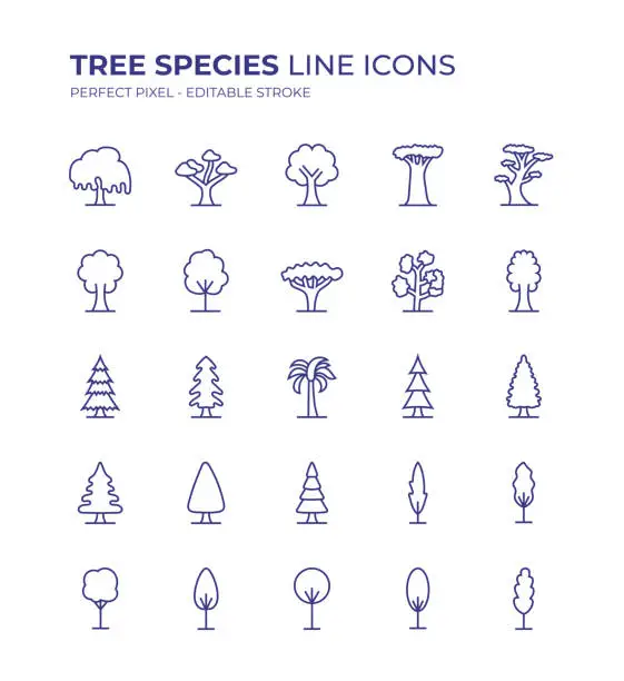 Vector illustration of Tree Species Editable Line Icon Set contains such icons as Maple Tree, Acacia Tree, Willow Tree, Cedar Tree, Palm Tree, Pine Tree, Cypress Tree and so on