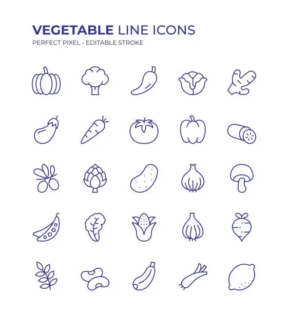 Vector illustration of Vegetable Editable Line Icon Set contains such icons as Pumpkin, Broccoli, Pepper, Lettuce, Eggplant, Carrot, Tomato, Cucumber, Potato, Onion and so on