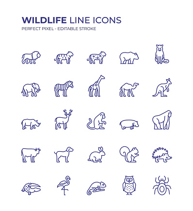 Wildlife Editable Line Icon Set contains such icons as Lion, Tiger, Cheetah, Giraffe, Wolf, Zebra, Kangaroo, Camel, Elephant, Deer, Gorilla, Crocodile, Bear and so on