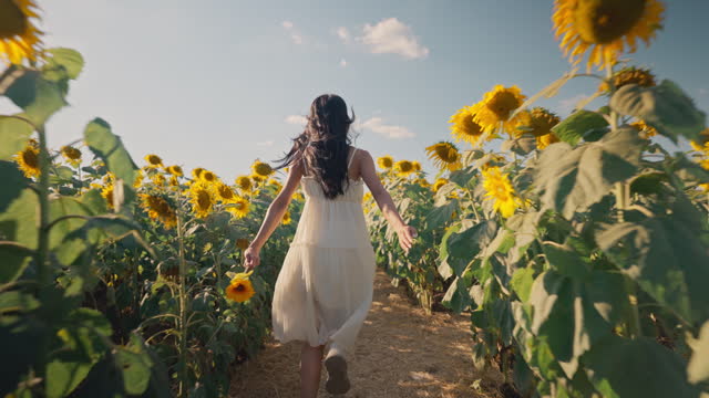 Free asian woman running on yellow sunflower field. Happy young woman jogging through field of a blooming sunflower during summer day. Freedom leisure concept. Slow motion