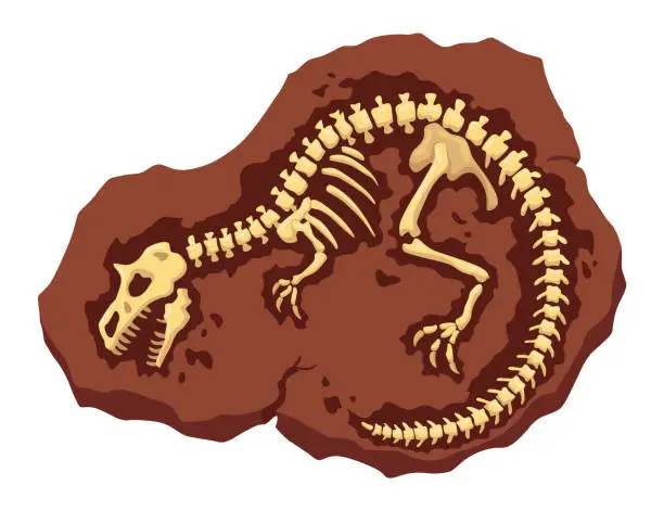 Vector illustration of Dinosaur fossil skeleton bones, excavations of archeology isolated. Prehistoric reptile skeletons lying underground. Cartoon paleontological artifact