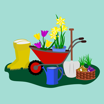 Rubber boots, wheel barrow with flowers, shovel, water can and onions in a basket.
