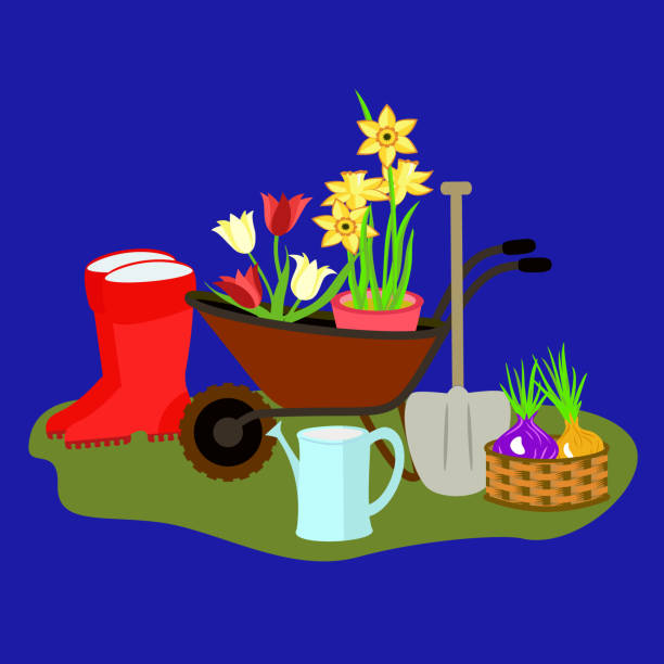 vector - illustration of garden tools with flowers. - tulpenzwiebel stock-grafiken, -clipart, -cartoons und -symbole