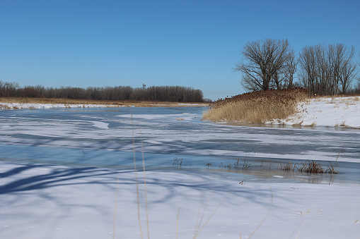 A winter scene typical of so many others in Quebec, Canada.  This photograph taken in February on the Saint-Lawrence river near Boucherville, Quebec.  Reeds are often present on the edges of the river