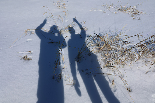The sun is low in the winter in Quebec and shadows extend longer that people's height.  This scene was taken in a snowy field in a park in Quebec.