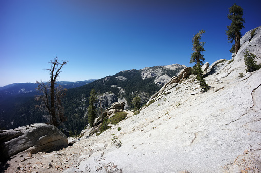 Sequoia National Park, California, United States