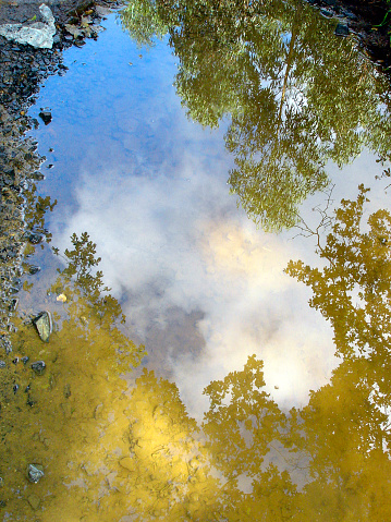 Camino de Santiago ,  forest and sky reflected on puddle, blank, copy space. Galicia, Spain.