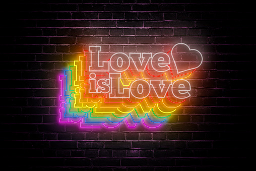 Embrace diversity and inclusivity with a vibrant LGBTQ pride neon sign, celebrating love and equality