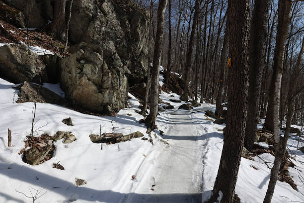 istock Fat Bike Trail 2040633193