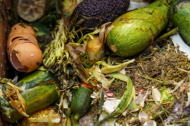 istock Pile of organic waste for composting as background, closeup, compost bin, bio waste on vegetable farm, heap of organic waste, food waste, 2040665193