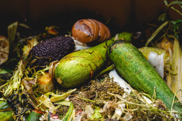 istock Pile of organic waste for composting as background, closeup, compost bin, bio waste on vegetable farm, heap of organic waste, food waste, 2040665205