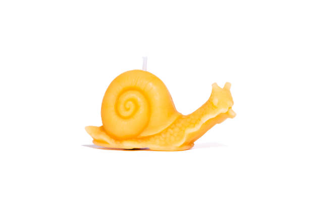 istock Snail bees wax candle on white background 2040670628