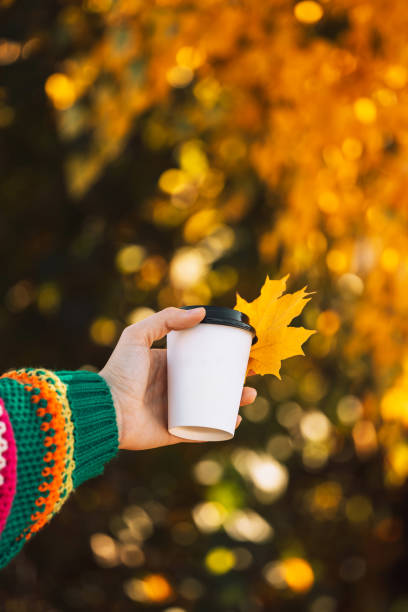 istock Hand in a colored striped sweater holding coffee to go 2040674398