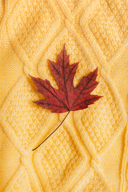 istock Knitted pattern of a yellow sweater with a maple red dry leaf in the middle 2040674436