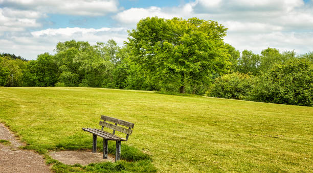 Public park with a green field of grass