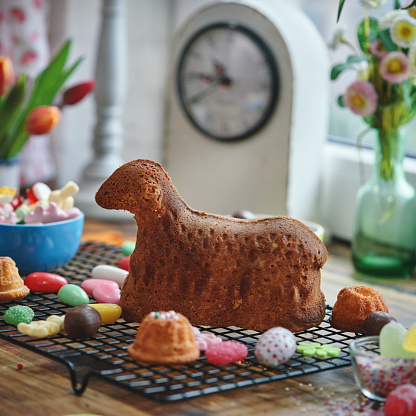Decorating Easter Bunny Lamb Cake in Domestic Kitchen