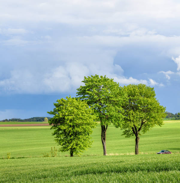 Summer morning in Krusne mountains over Chomutov town with color meadows and fences