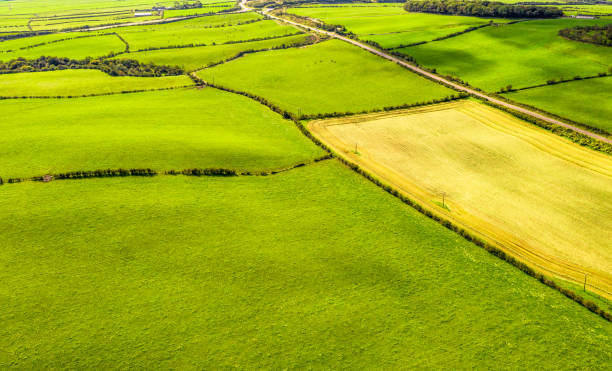 istock Farmland from the air 2040716862