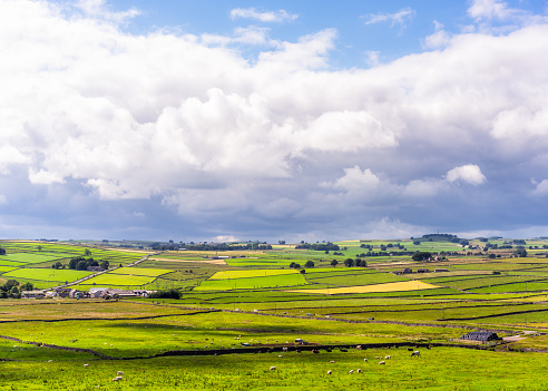 A view of agricultural fields in Yorkshire, separated by traditional drystone walls, stretching out towards the horizon.  Photographed in July.
