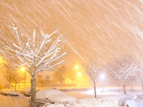 A snowy night scene of a parking lot and trees