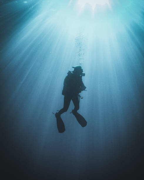 istock Polar Aqua Adventurer 2040724958