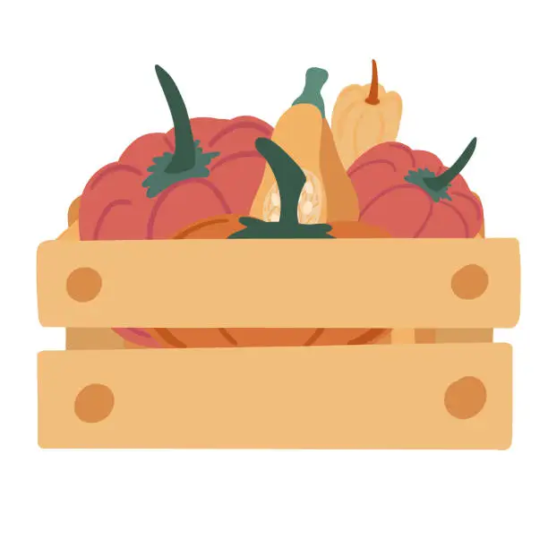 Vector illustration of vegetables in a wood box pumpkin harvest autumn flat design set white background