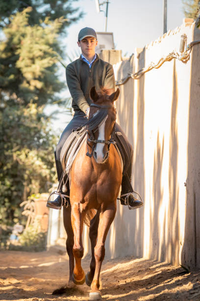 istock teenage boy riding a horse 2040730355