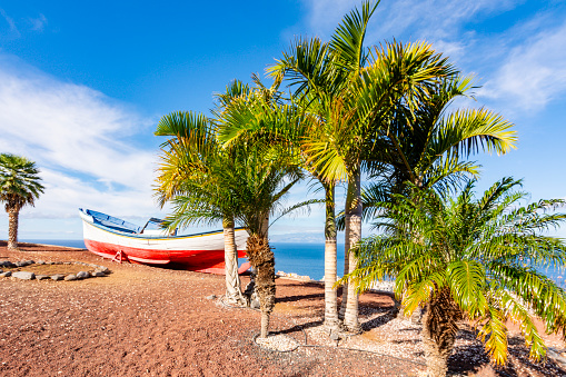 Palm trees with detailed fronds are prominently featured, leaning towards a sandy beach with gentle waves lapping on the shore under a clear blue sky with soft clouds. The beach is wide and stretches out into the distance, with the waves creating a soothing sound as they break on the shore. The sky is a beautiful shade of blue, with soft white clouds scattered across it. The sun is shining brightly, casting a warm glow over the scene. In the distance, there is an indistinct horizon where water meets sky.