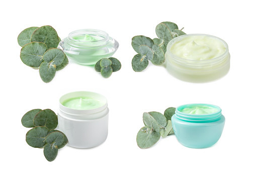Jar of cosmetic cream for face hands and body with eucalyptus leaves isolated on white background. Natural organic product. Beauty and spa concept. Body care