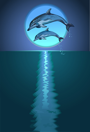 Dolphin and moon