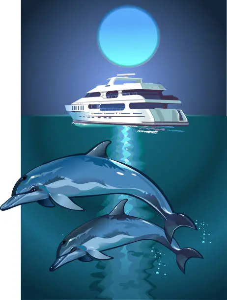 Vector illustration of Dolphin and moon