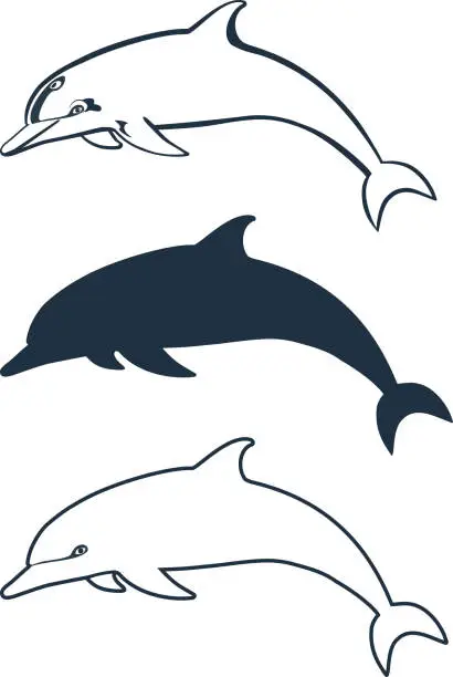 Vector illustration of black and white dolphins set