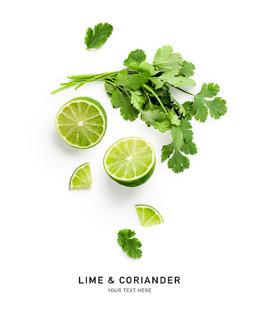 Fresh coriander branch leaves and lime citrus fruit isolated on white background. Creative layout. Top view, flat lay. Design element. Healthy eating and dieting food concept